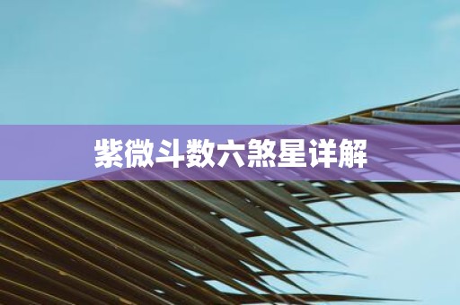 紫微斗数六煞星详解