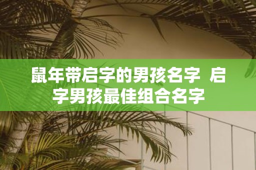 鼠年带启字的男孩名字 启字男孩最佳组合名字