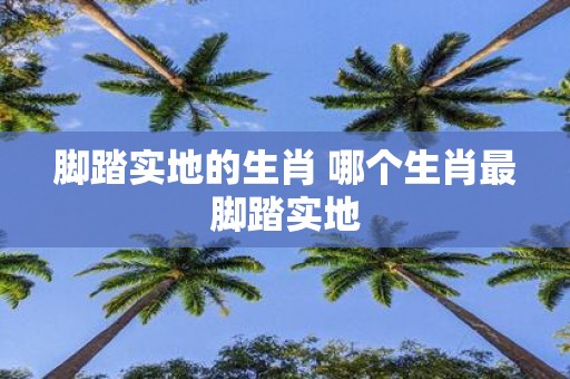 脚踏实地的生肖 哪个生肖最脚踏实地