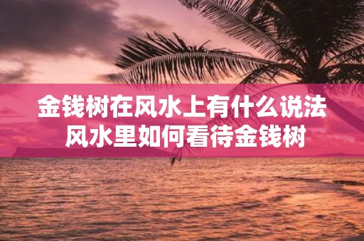 金钱树在风水上有什么说法 风水里如何看待金钱树