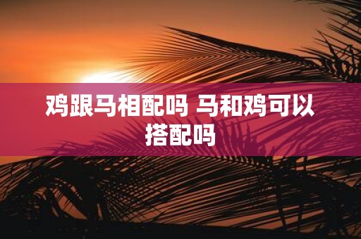 鸡跟马相配吗 马和鸡可以搭配吗