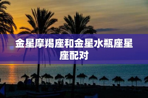 金星摩羯座和金星水瓶座星座配对