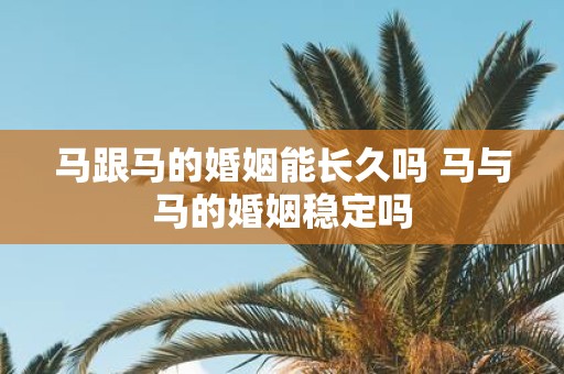 马跟马的婚姻能长久吗 马与马的婚姻稳定吗