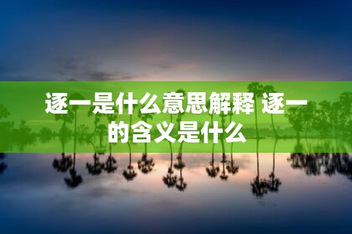 逐一是什么意思解释 逐一的含义是什么