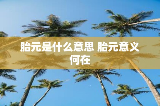 胎元是什么意思 胎元意义何在