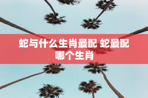 蛇与什么生肖最配 蛇最配哪个生肖