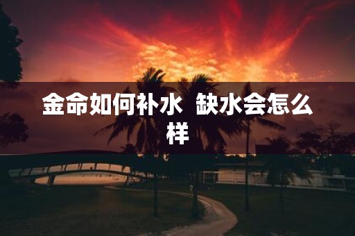 金命如何补水 缺水会怎么样