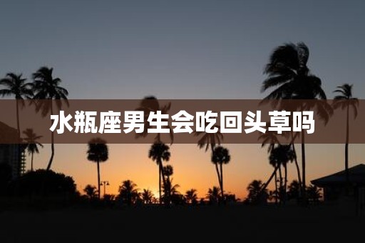 水瓶座男生会吃回头草吗
