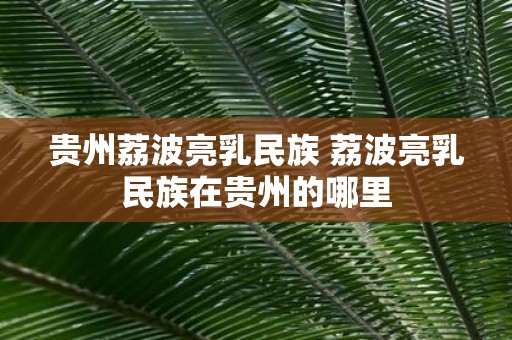 贵州荔波亮乳民族 荔波亮乳民族在贵州的哪里