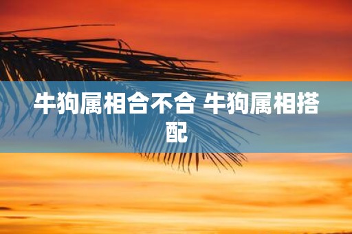 牛狗属相合不合 牛狗属相搭配