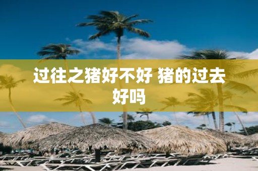 过往之猪好不好 猪的过去好吗