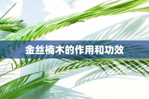 金丝楠木的作用和功效