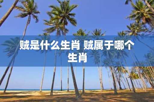 贼是什么生肖 贼属于哪个生肖