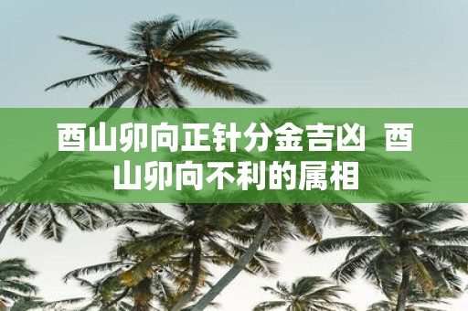 酉山卯向正针分金吉凶 酉山卯向不利的属相