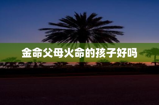 金命父母火命的孩子好吗