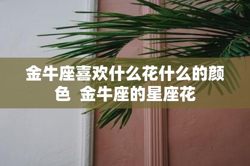 金牛座喜欢什么花什么的颜色 金牛座的星座花