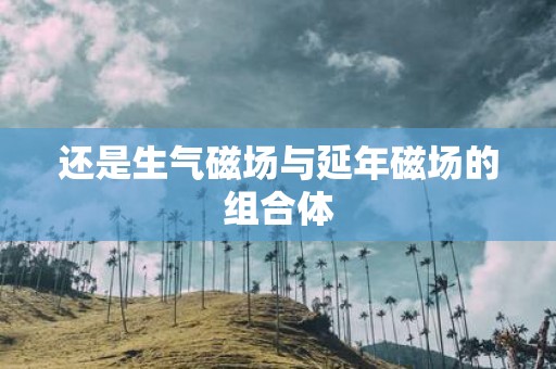 还是生气磁场与延年磁场的组合体
