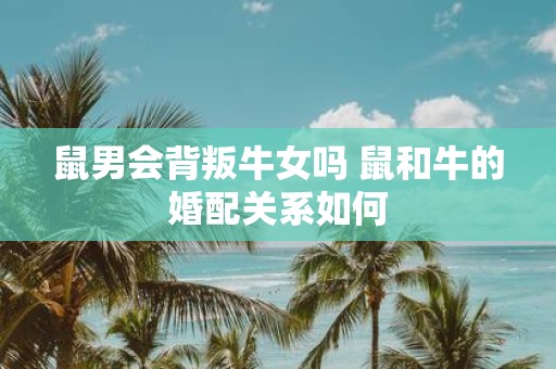 鼠男会背叛牛女吗 鼠和牛的婚配关系如何
