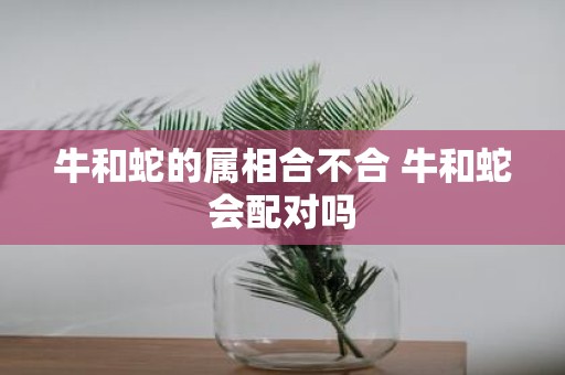 牛和蛇的属相合不合 牛和蛇会配对吗