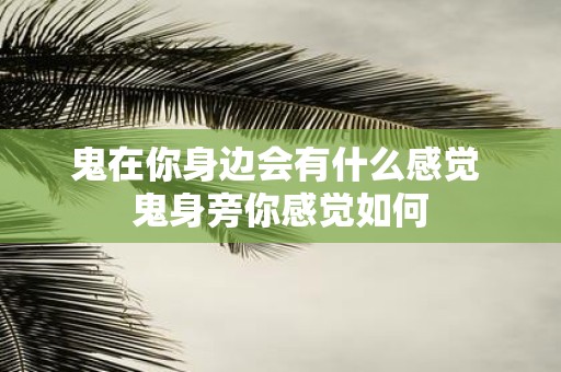 鬼在你身边会有什么感觉 鬼身旁你感觉如何
