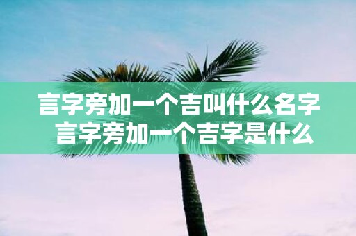 言字旁加一个吉叫什么名字 言字旁加一个吉字是什么字