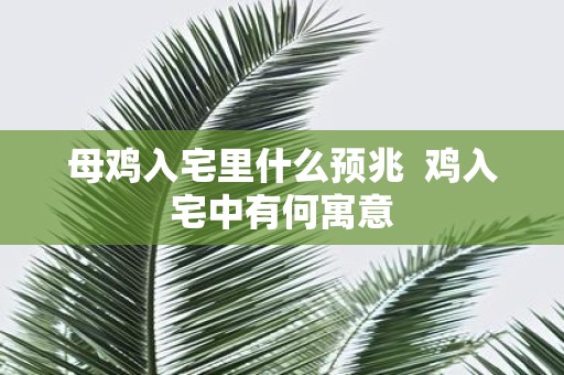 母鸡入宅里什么预兆 鸡入宅中有何寓意