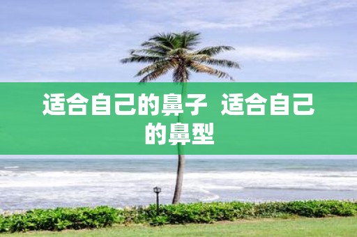 适合自己的鼻子 适合自己的鼻型