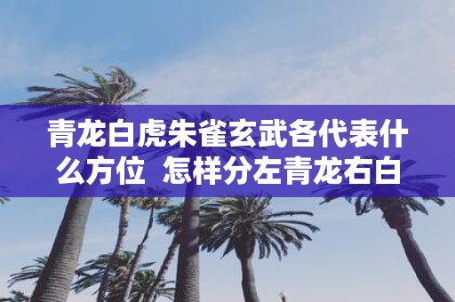 青龙白虎朱雀玄武各代表什么方位 怎样分左青龙右白风水