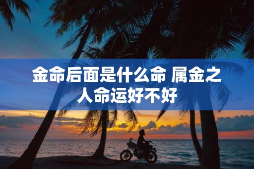 金命后面是什么命 属金之人命运好不好