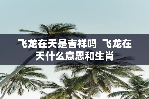 飞龙在天是吉祥吗 飞龙在天什么意思和生肖
