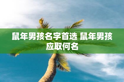 鼠年男孩名字首选 鼠年男孩应取何名