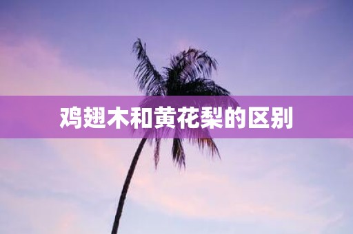 鸡翅木和黄花梨的区别