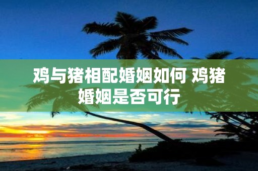 鸡与猪相配婚姻如何 鸡猪婚姻是否可行