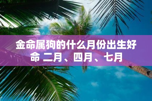 金命属狗的什么月份出生好命 二月、四月、七月