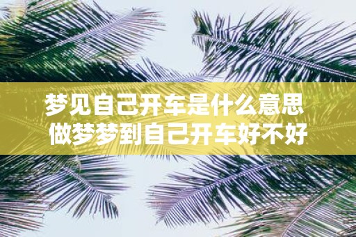 梦见自己开车是什么意思 做梦梦到自己开车好不好