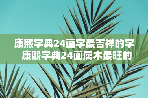 康熙字典24画字最吉祥的字 康熙字典24画属木最旺的字