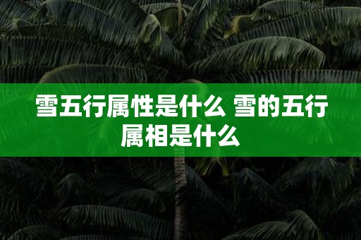 雪五行属性是什么 雪的五行属相是什么