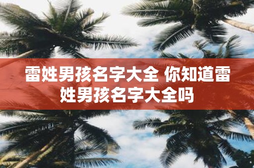 雷姓男孩名字大全 你知道雷姓男孩名字大全吗