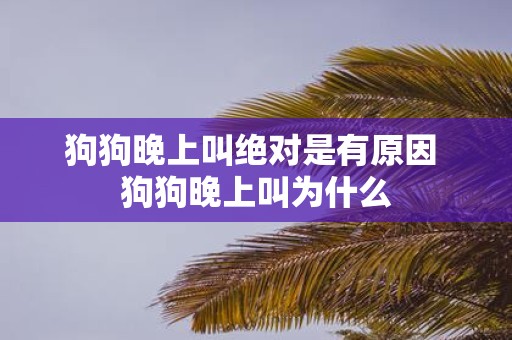 狗狗晚上叫绝对是有原因 狗狗晚上叫为什么