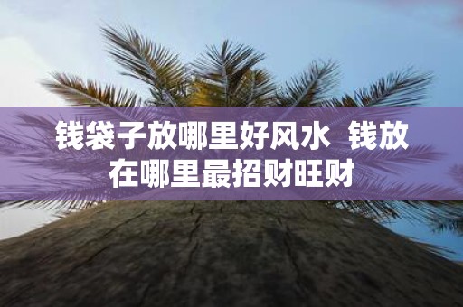 钱袋子放哪里好风水 钱放在哪里最招财旺财