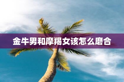 金牛男和摩羯女该怎么磨合