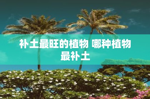 补土最旺的植物 哪种植物最补土