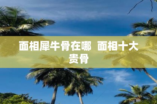 面相犀牛骨在哪 面相十大贵骨