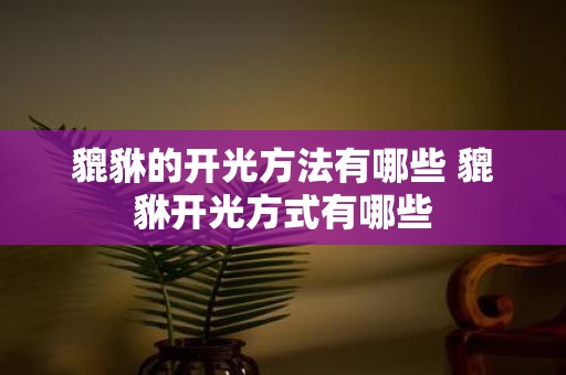 貔貅的开光方法有哪些 貔貅开光方式有哪些