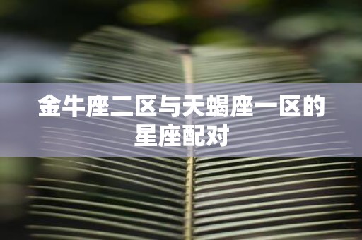 金牛座二区与天蝎座一区的星座配对