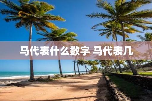 马代表什么数字 马代表几