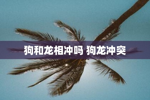 狗和龙相冲吗 狗龙冲突