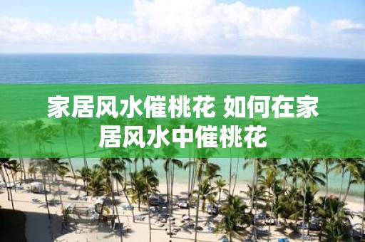 家居风水催桃花 如何在家居风水中催桃花