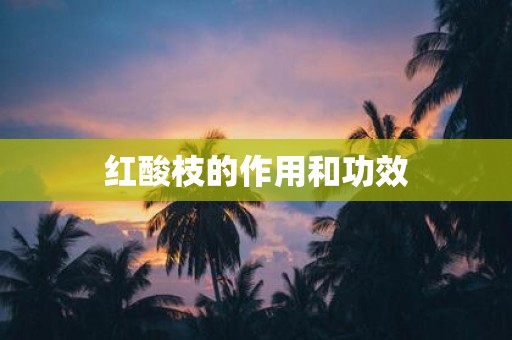 红酸枝的作用和功效
