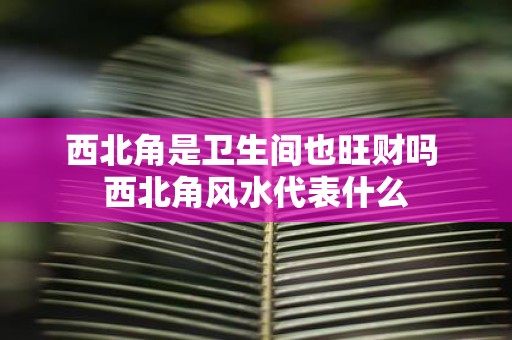 西北角是卫生间也旺财吗 西北角风水代表什么